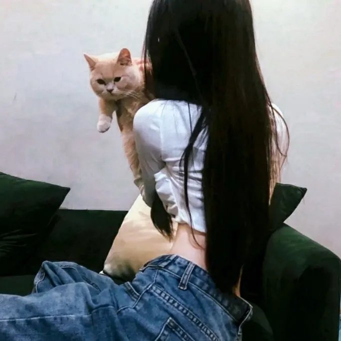 秋田犬蓬夫